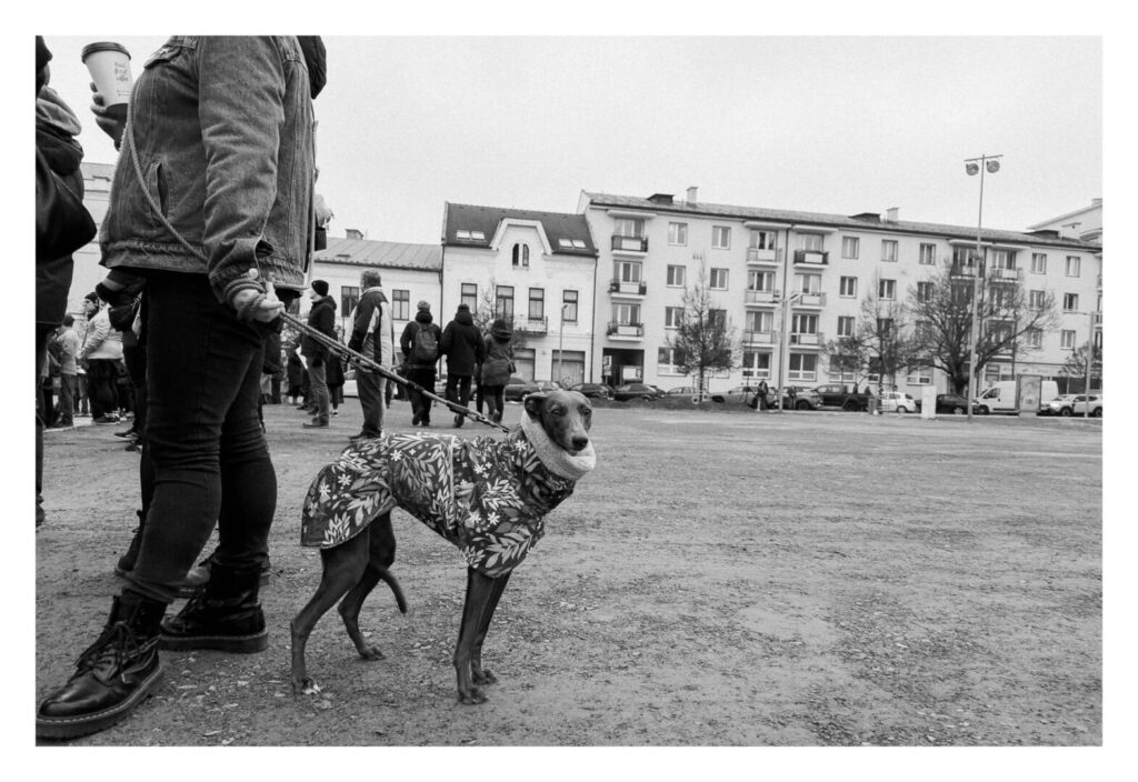 Photo by Martin Dubovský